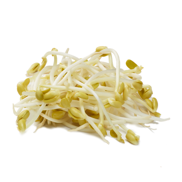 Soy Bean Sprouts