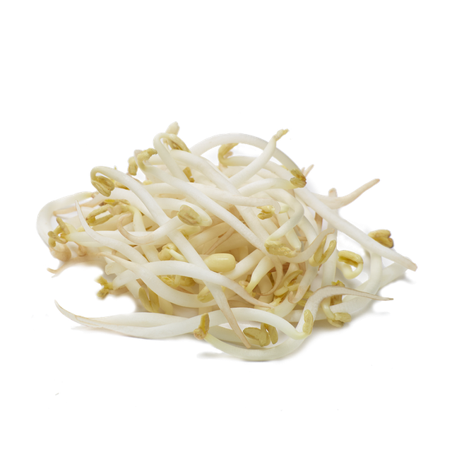 Mung Bean Sprouts